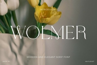 Discovering Wolmer Font for Modern Typography Projects
